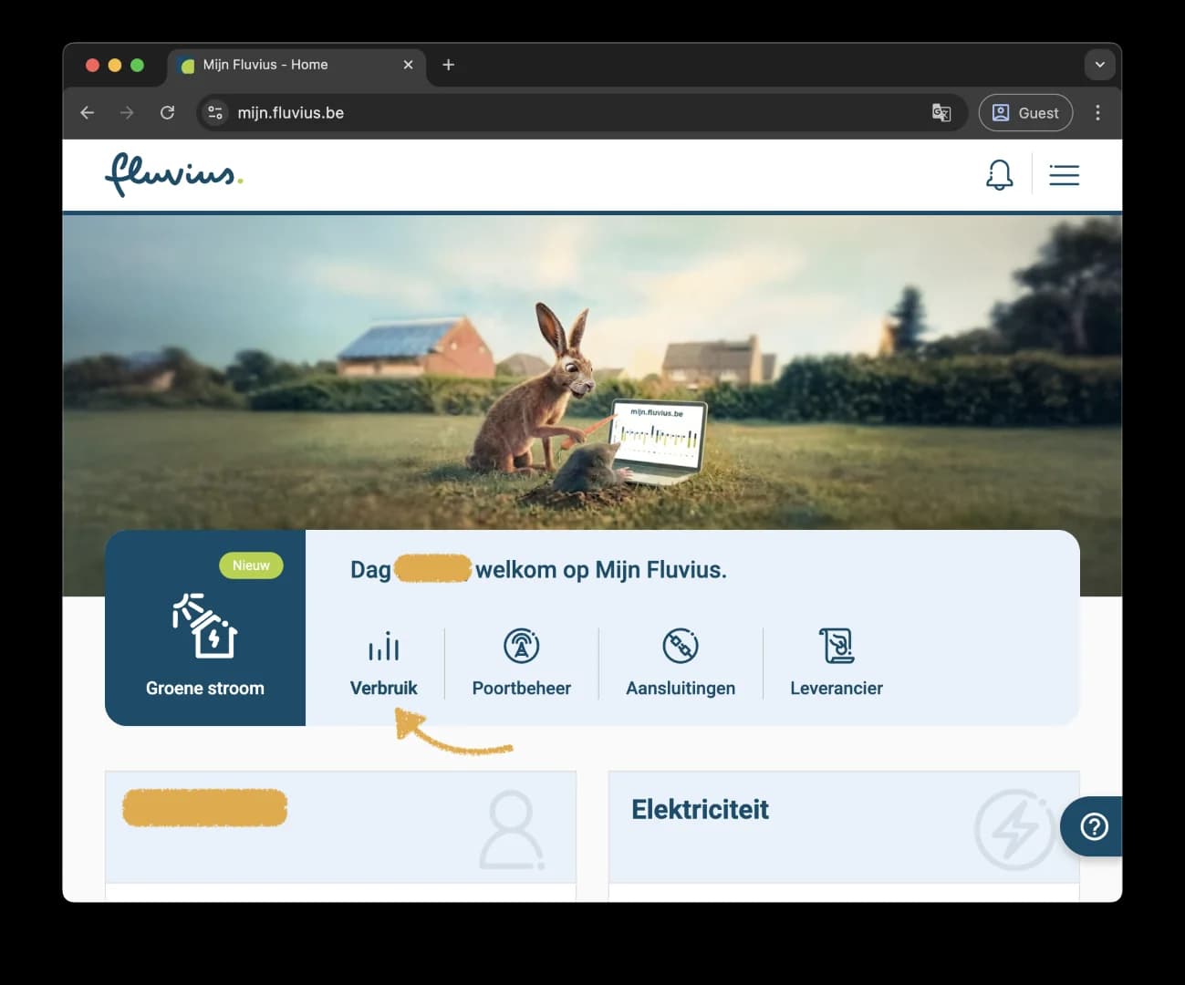 Startpagina van Mijn Fluvius met de knop Verbruik